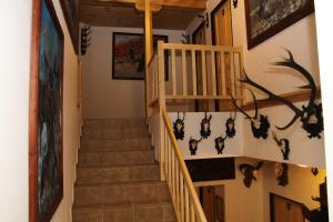 Fotografie z fotogalerie ubytování apartmány pod Vysákem v destinaci Stárkov