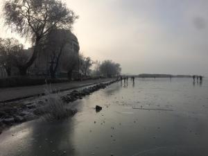Príroda v okolí apartmánu
