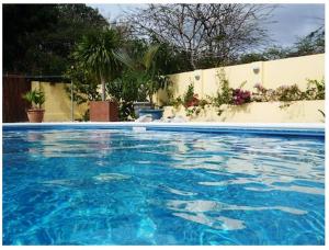 una piscina de agua azul en un patio en Dolphin Hearthouse, en Lagun
