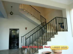 a spiral staircase in a house with a dog at Sunny Luxor in Luxor