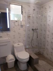 a bathroom with a white toilet and a shower at Hostal Casamar-Viña in Viña del Mar