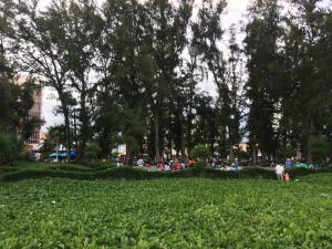 Vườn quanh Hanh Huong Hostel