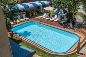 an overhead view of a swimming pool with chairs and umbrellas at PorterHouse Beach Hotel in Patong Beach