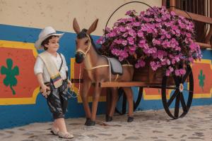 een jongen die naast een speelgoedpaard en bloemen staat bij La Divina Providencia in Jardin