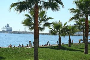 people on a beach with palm trees and a cruise ship at Malaka in Málaga