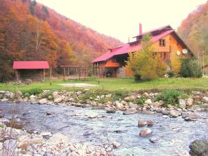 a house next to a river in front of a house at Rustic House in Stana de Vale