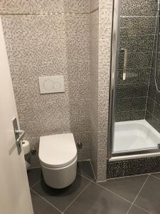 a bathroom with a toilet and a shower at Hotel Admiral in Geneva