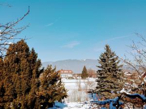 Afbeelding uit fotogalerij van Mosers Pension in Villach