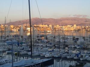 Un montón de barcos atracados en un puerto en Room Leon en Split