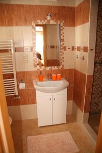 ein Bad mit einem Waschbecken und einer Dusche mit einem Spiegel in der Unterkunft OK-35 in Rokytnice nad Jizerou