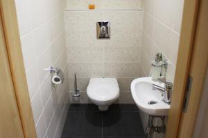 a small bathroom with a toilet and a sink at Velence Resort Apartman in Velence