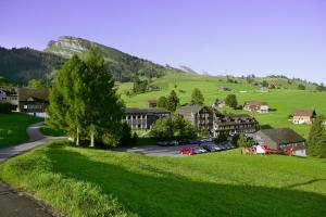 a village in the mountains with cars parked on the road at Hotel Stump's Alpenrose in Wildhaus