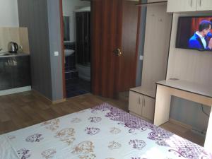 a living room with a bed and a tv in a room at Orianna in Kropyvnytskyi