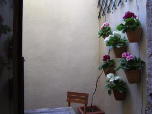 a wall with three potted plants on it at Estrela Park in Lisbon