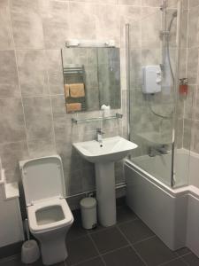 y baño con lavabo, aseo y ducha. en Abbots Mead Hotel, en Shrewsbury