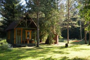 Zahrada ubytování Saia Forest House