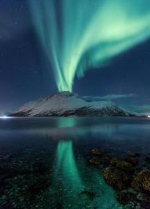 an aurora over a mountain in the water at night at Captains House in Hamneide