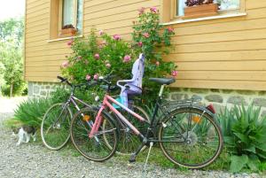 two bikes parked in front of a house with a cat at chez Geppetto in Saint-Georges-Nigremont