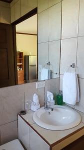 a bathroom with a sink and a mirror at Cabaña Amík'así in Turrialba