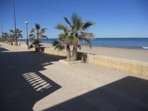 Playa de MiramarにあるChalet cerca del marの浜辺の歩道のヤシの木