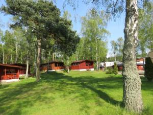a group of cabins in a field with trees at FALA na WYSPIE in Sobieszewo