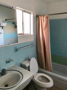 een badkamer met een wastafel, een toilet en een douche bij Cajun Inn Motel in Galliano