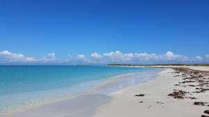 
a sandy beach with a clear blue sky at Jurien Bay Motel Apartments in Jurien Bay
