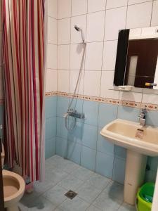 a bathroom with a shower and a toilet and a sink at Guanshan Falcon in Guanshan