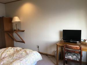 TV a/nebo společenská místnost v ubytování Little Forest Inn Nikko