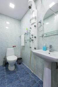a bathroom with a shower and a toilet and a sink at Umba Apartment N1 - 2 bedrooms in Yerevan