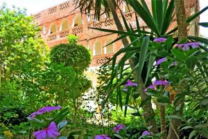 Zahrada ubytování Hotel Sheherazade Luxor