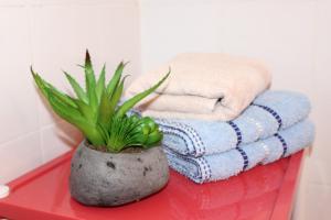 a potted plant on a red table with towels at Guest House Tomanovic in Herceg-Novi