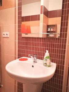 Kylpyhuone majoituspaikassa Apartment Promenada