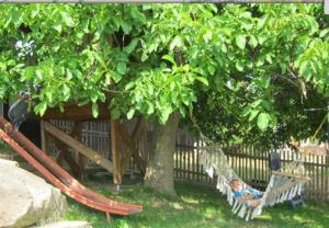 un niño tendido en una hamaca bajo un árbol en Bauernhof Heist, en Langen-Brombach