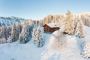 an aerial view of a log cabin in a snow covered forest at Wannenkopfhütte in Obermaiselstein