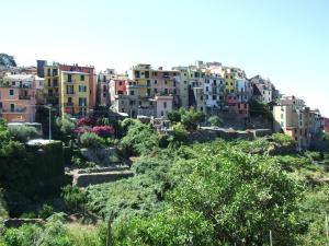 a group of colorful buildings on a hill at Terre Apartment in Corniglia +10 photos