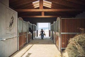 Hosté ubytování Glamping Diacceroni