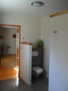 a bathroom with a toilet in a room at Au Saint-Amand in Poissons