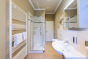 a bathroom with a shower and a sink at Ferienwohnung im Wasserwinkel in Quedlinburg