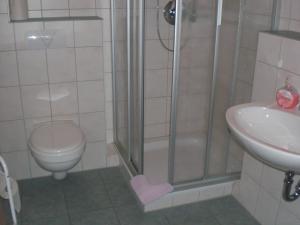 a bathroom with a shower and a toilet and a sink at Landgasthof Schubbkoarn's Ruh in Fulda