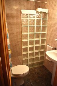 a bathroom with a shower with a toilet and a sink at Hotel Los Bartolos in Alhama de Murcia