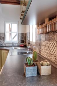 eine Küche mit einer Theke mit Kaktuen darauf in der Unterkunft Altstadt Blieskastel, Gerbergasse in Blieskastel