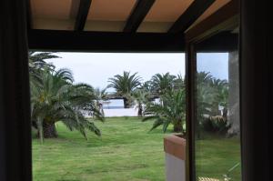 a view of a yard with palm trees from a window at Hotel Club Sunway Punta Prima in Es Pujols