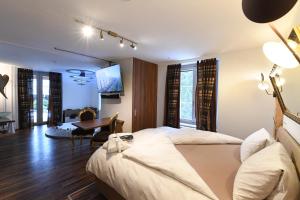 TV o dispositivi per l'intrattenimento presso Hotel Krone Sihlbrugg