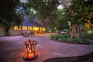 馬翁的住宿－Island Safari Lodge，一个带桌子的庭院和一座树屋
