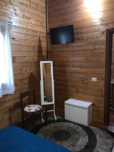 una camera da letto con parete in legno, specchio e TV di Chalet Impero a Scauri
