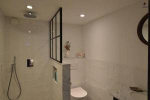 a white bathroom with a toilet and a shower at Romantic ground floor suite in Pijp near Sarphatipark in Amsterdam