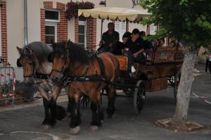 deux chevaux tirant une calèche pleine de personnes dans l'établissement L'Ecurie des Ardennais, à Pierry