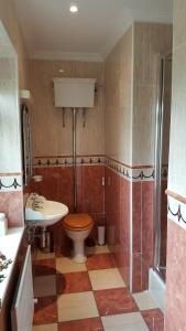 a bathroom with a toilet and a sink at Anchor Haven in Goleen +37 photos
