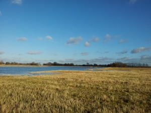 een grasveld naast een waterlichaam bij Ferienhaus St. Johannis in Werben